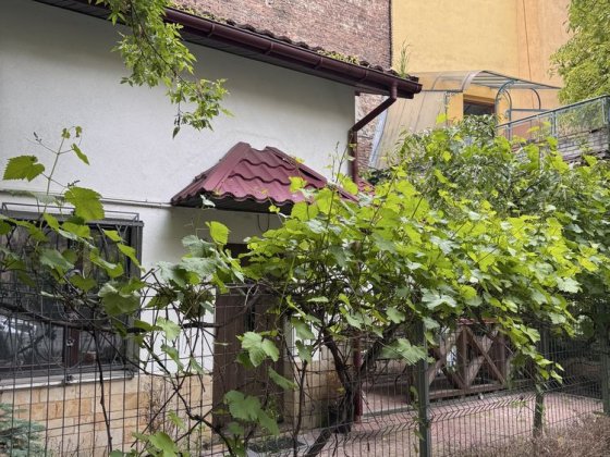 Оренда 2 к кв в будиночку, центр Львова , 550 дол Львів