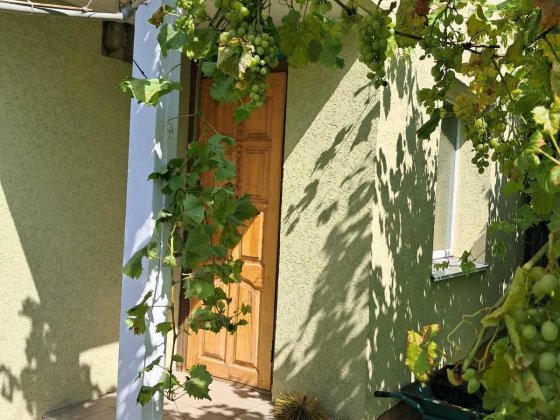 Карбутівка вул. Рвдивілська Житомир