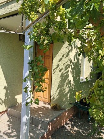 Карбутівка вул. Рвдивілська - фото 1