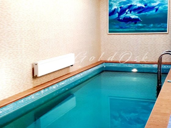 Здам Будинок з Басейном та Сауною.Вихід на річку.Осокорки.Камін,газ. Київ