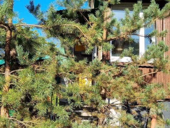 Оренда будинка на Русанівських садах Київ