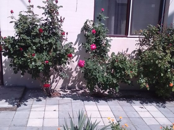 Сдаю дом у реки 5 причал Миколаїв