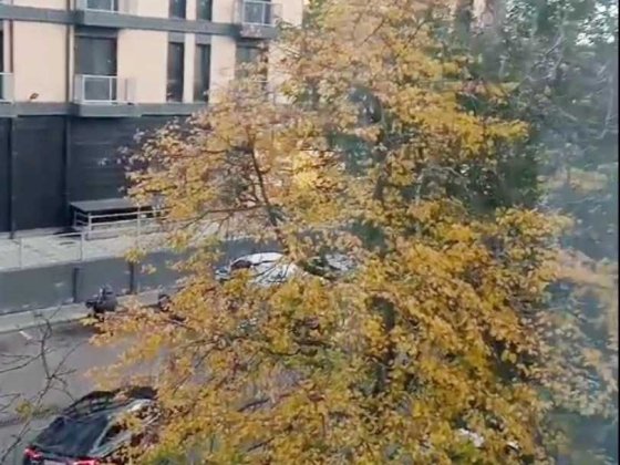 ЗДАМ 3 к\к 3\5 цегла пр Центральний Мала Морська,ремонт,можна  собачка Николаев