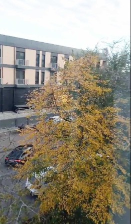 ЗДАМ 3 к\к 3\5 цегла пр Центральний Мала Морська,ремонт,можна  собачка - фото 1