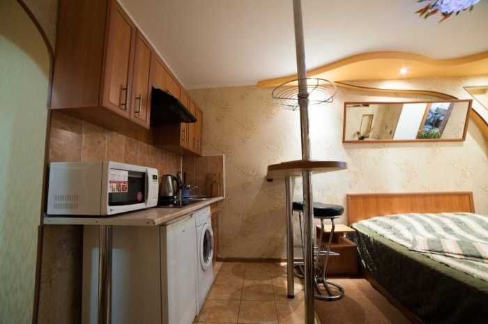 Аренда 1к квартиры Центр (Пушкинское кольцо) - фото 1