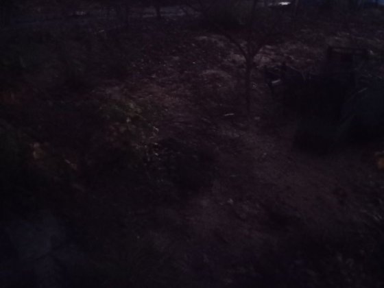 Продам или сдам дачу. Терновка