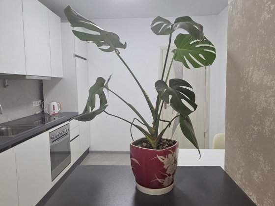 Оренда 2-х кімнатної квартири район Метро Волчинец