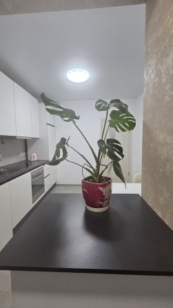 Оренда 2-х кімнатної квартири район Метро - фото 1