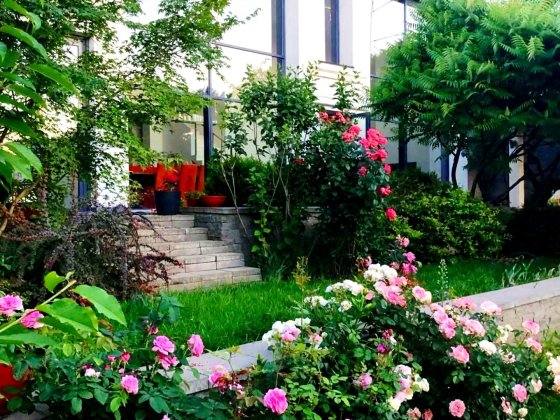 Оренда Будинку | є Укриття | Гараж | Басейн | Лісники Лісники