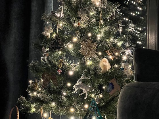 Оренда затишного котеджу Славсько помісячно/потижнево