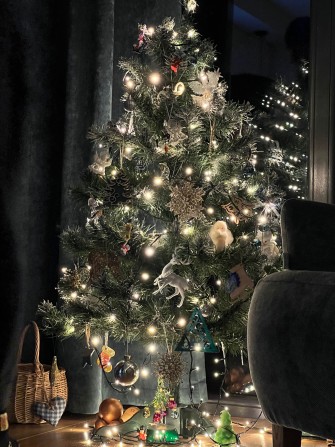 Оренда затишного котеджу Славсько помісячно/потижнево - фото 1