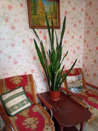 Сдать Двухкімнатну квартиру - фото 1