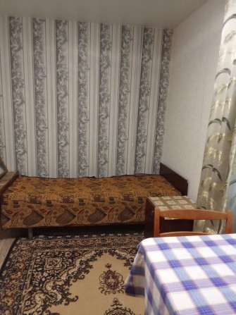 Кімната в квартирі з власницею та кішкою, Панаса Мирного - фото 1