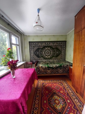 Здам кімнату в центрі - фото 1