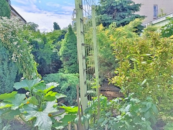 Здам кімнату лівобережна Київ