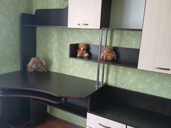 Оренда квартири, 84 м. кв. Петропавлівське