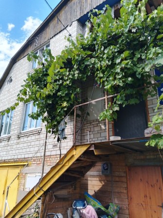 Здаеться кімната з окремим входом,всі умови. - фото 1