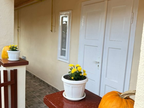 Видається автентична сільська хата на узліссі Берегово