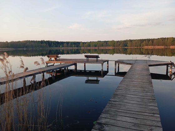 Відпочинок оренда будинку баня на березі озера Велике Облапи Ковель