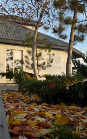 Будинок для 2-4 гостей подобово - фото 1