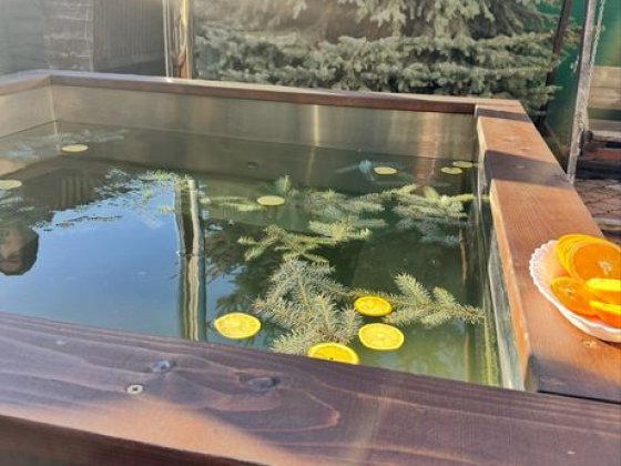 Дом для проведения вашего праздника! Банкетная, баня, чан Запорожье