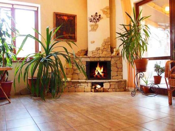 Аренда тёплого дома с камином на Новый год в Днепре. От владельца