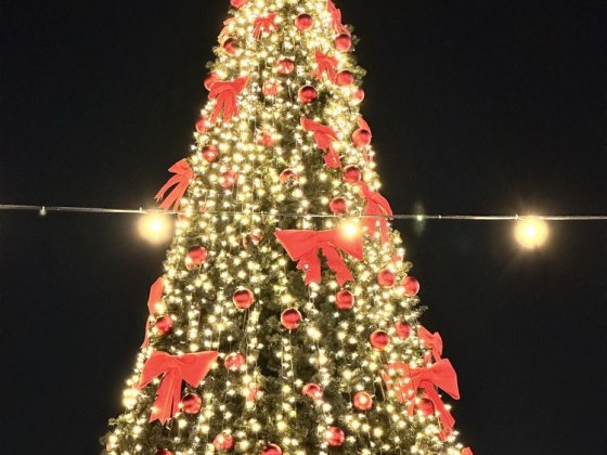 Будинок в оренду . Корпаративи, День Народження, Новорічні свята Киев