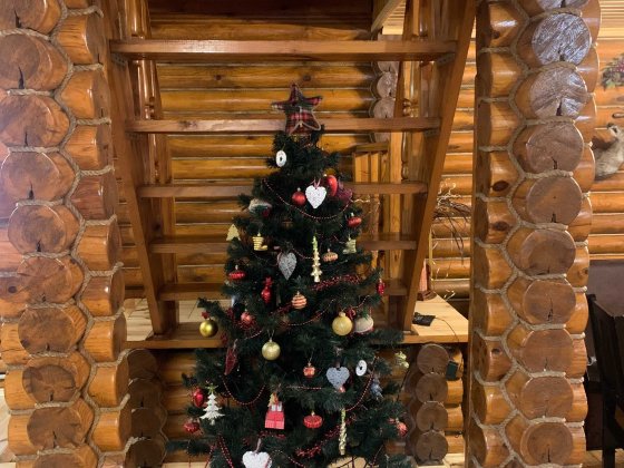 дом на новогоднюю ночь Киев