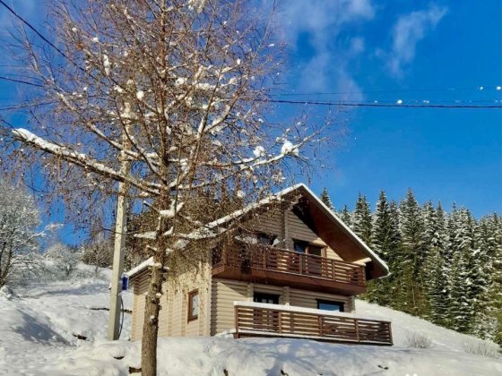 Зруб біля с. Поляниця (с.Яблуниці) Яблуница