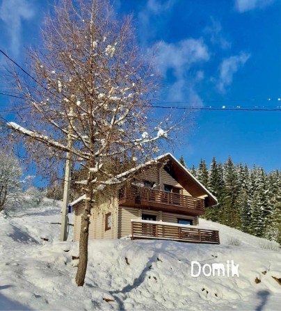 Зруб біля с. Поляниця (с.Яблуниці) - фото 1