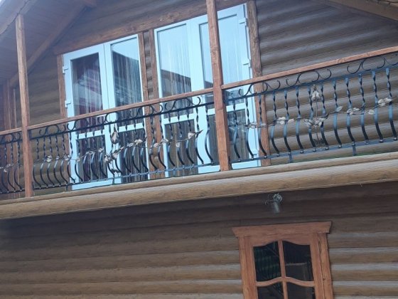 Проживання у Ворохті Садиба Топірець ,оренда котеджа у Ворохті Ворохта