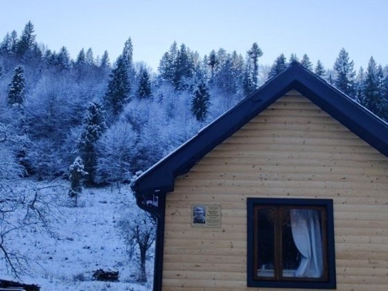 Здається будиночок в Карпатах Косов