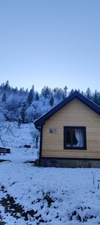Здається будиночок в Карпатах - фото 1