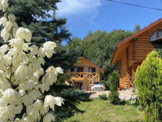 Оренда котеджів/будиночків. Чани/Сауна/Більярд/Настільний теніс Косов