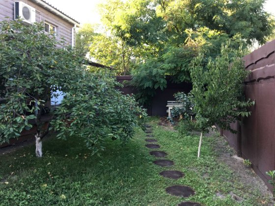 Будиночки на самому березі Десни Пуховка