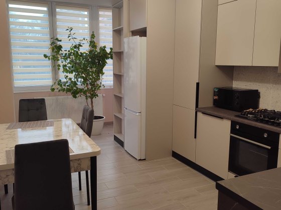 Подобова оренда квартири в центрі міста Каменец-Подольский