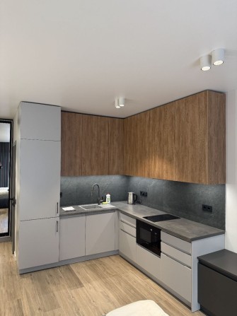 Подобова оренда. Завжди є світло - фото 1