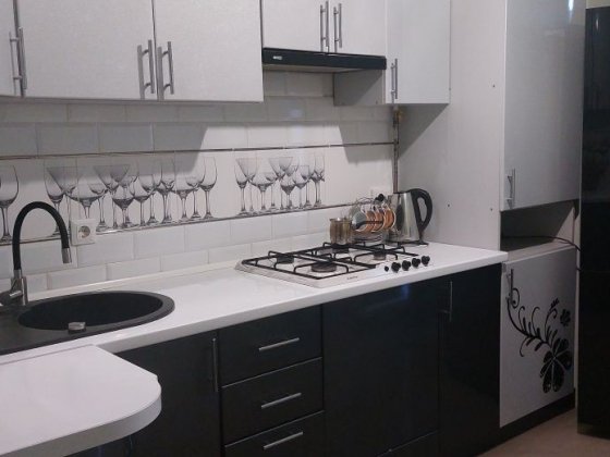 Подобово 1-кімнатна затишна квартира Черновцы