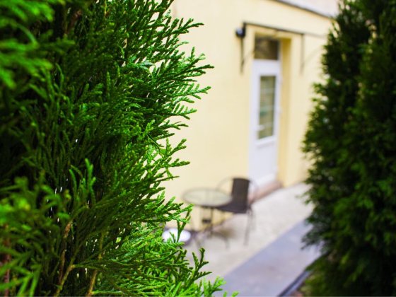 Квартира в центрі Львова зі своїм двориком, подобово