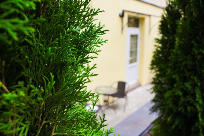 Квартира в центрі Львова зі своїм двориком, подобово - фото 1