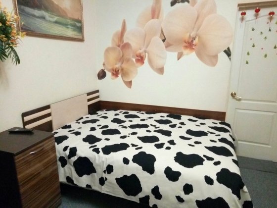 В сутки 450грн.Квартира в центре Одессы. Одеса