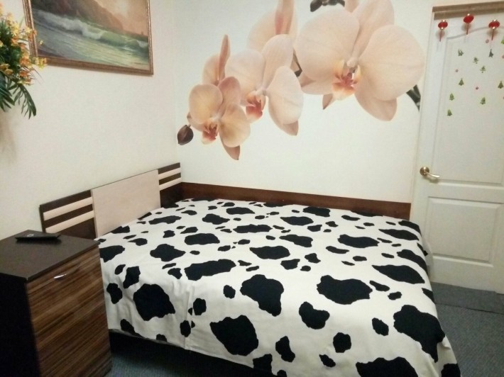 В сутки 450грн.Квартира в центре Одессы. - фото 1