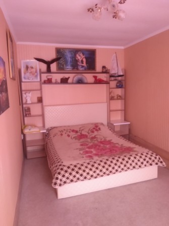 Квартира посуточно - фото 1