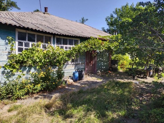 Продається будинок Александрия