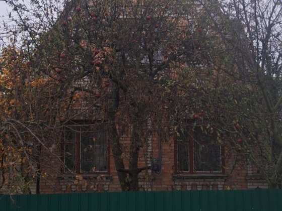 Продам будинок з трьох кімнат. Район міської лікарні Бердичів