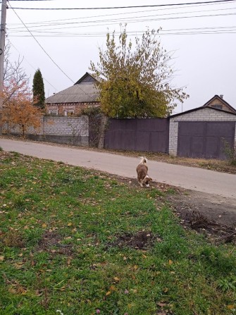 Продам дом в пос. Высокий - фото 1