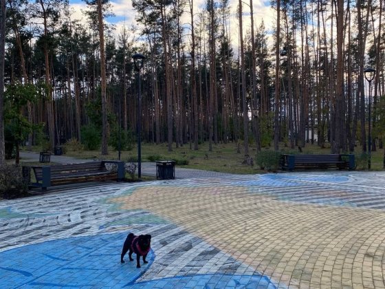 Затишний таун з ремонтом прям біля парк Щасливий. ІД 246 Гостомель