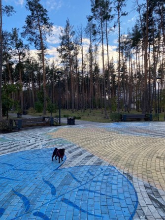 Затишний таун з ремонтом прям біля парк Щасливий. ІД 246 - фото 1