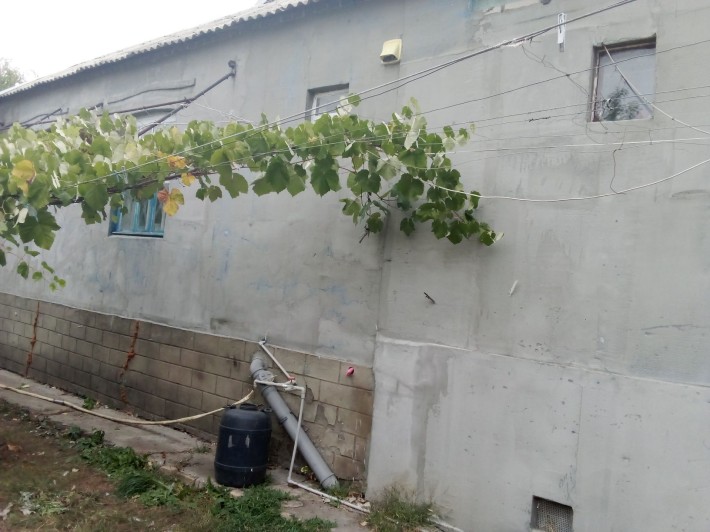 Продам газифицированый - фото 1