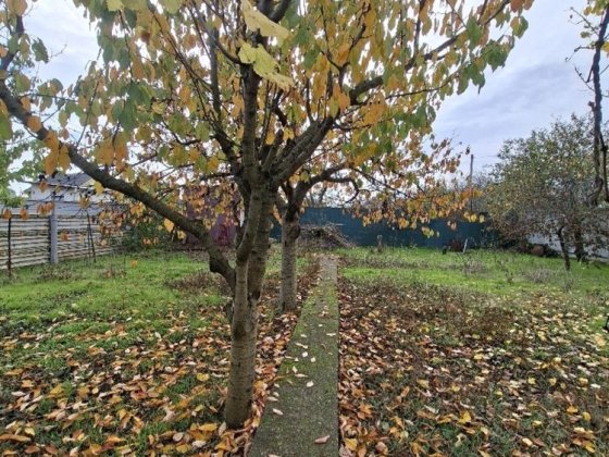 Продам дачный участок с домиком в пригороде Черноморска Черноморск